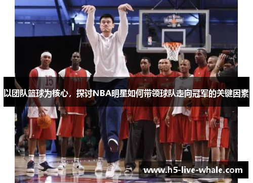 以团队篮球为核心，探讨NBA明星如何带领球队走向冠军的关键因素