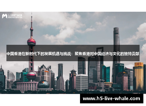 中国香港在新时代下的发展机遇与挑战：聚焦香港对中国经济与文化的独特贡献