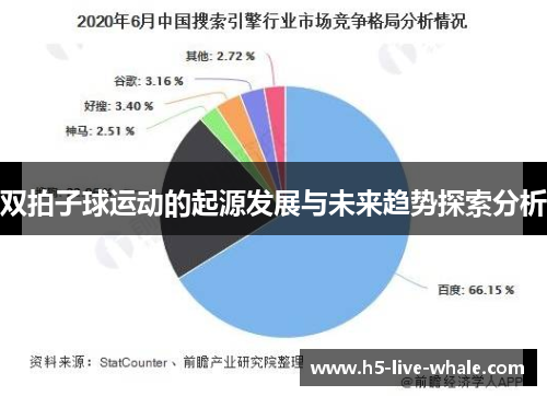 双拍子球运动的起源发展与未来趋势探索分析